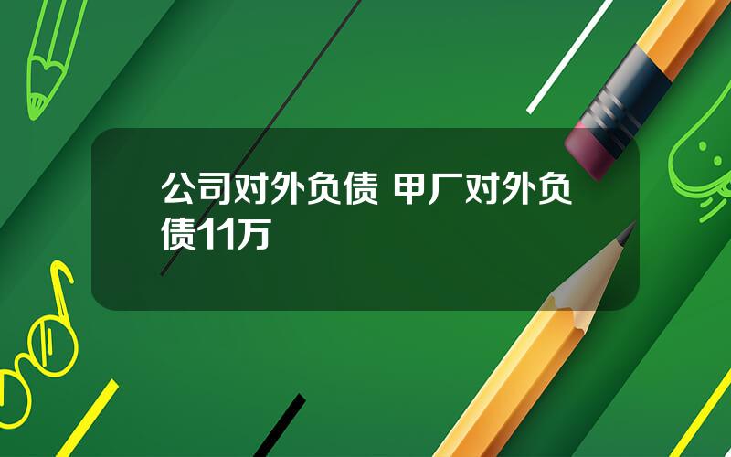 公司对外负债 甲厂对外负债11万